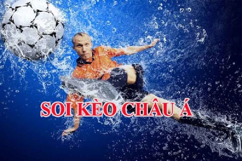 c&aacute;c kiểu c&aacute; độ b&oacute;ng đ&aacute;