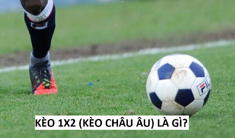 K&egrave;o 1x2 ch&acirc;u &acirc;u