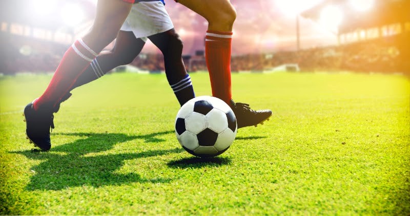 kinh nghiệm c&aacute; độ b&oacute;ng đ&aacute;