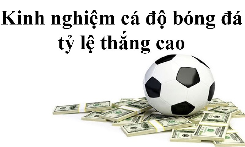 L&agrave;m thế n&agrave;o để thắng c&aacute; độ b&oacute;ng đ&aacute;